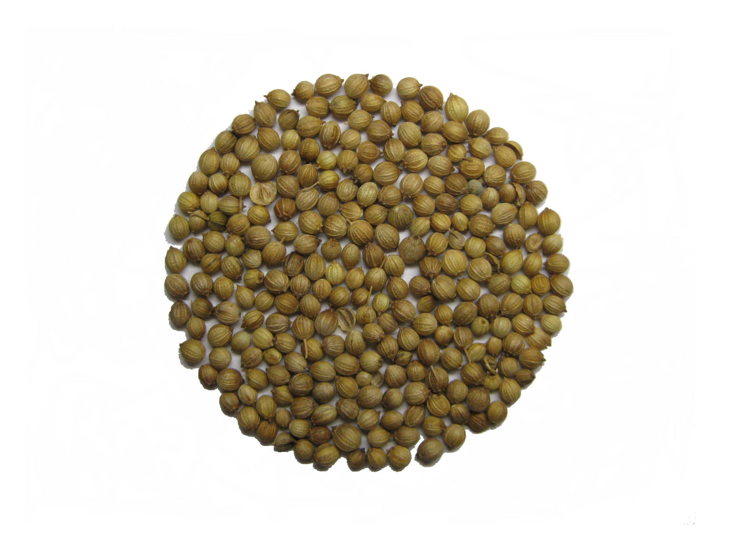 Kolendra 100 g